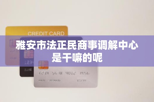 雅安市法正民商事调解中心是干嘛的呢