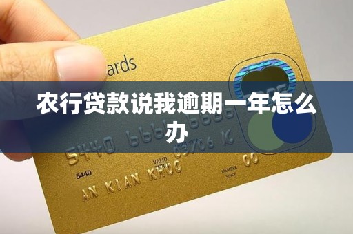 农行贷款说我逾期一年怎么办 农行贷款说我逾期一年怎么办