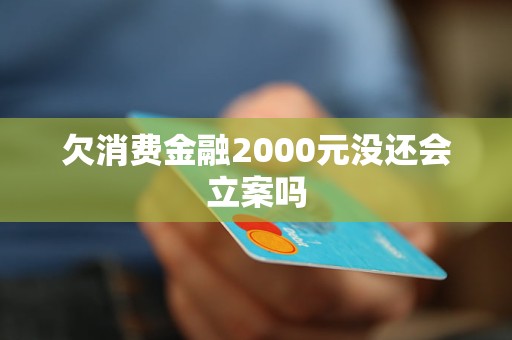 欠消费金融2000元没还会立案吗 欠消费金融2000元没还会立案吗