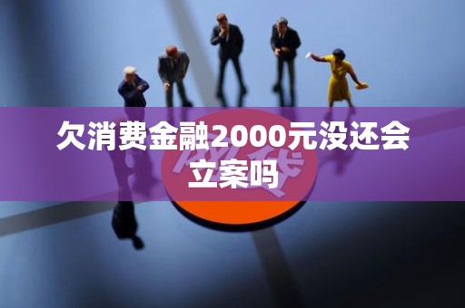 欠消费金融2000元没还会立案吗 欠消费金融2000元没还会立案吗