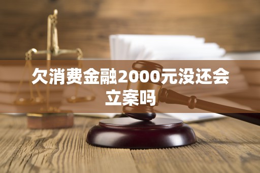 欠消费金融2000元没还会立案吗 欠消费金融2000元没还会立案吗