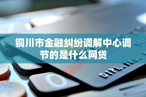 铜川市金融纠纷调解中心调节的是什么网贷