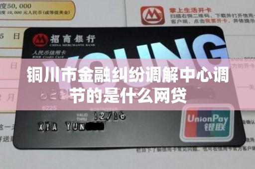 铜川市金融纠纷调解中心调节的是什么网贷 铜川市金融纠纷调解中心调节的是什么网贷