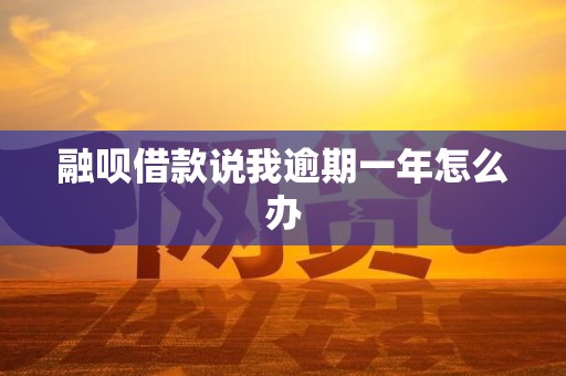 融呗借款说我逾期一年怎么办 融呗借款说我逾期一年怎么办