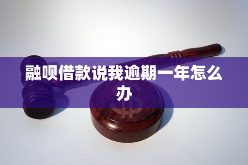 融呗借款说我逾期一年怎么办 融呗借款说我逾期一年怎么办