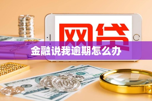 金融说我逾期怎么办 金融说我逾期怎么办