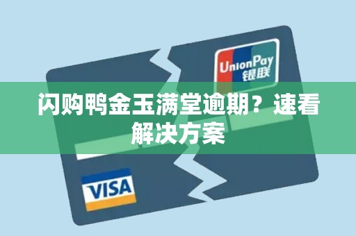 闪购鸭金玉满堂逾期?速看解决方案 闪购鸭金玉满堂逾期?速看解决方案