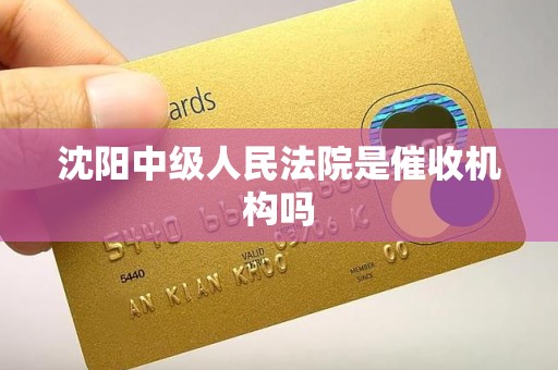 沈阳中级人民法院是催收机构吗 沈阳中级人民法院是催收机构吗