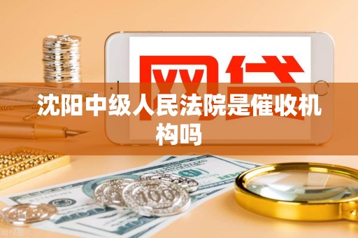 沈阳中级人民法院是催收机构吗 沈阳中级人民法院是催收机构吗