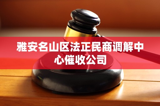 雅安名山区法正民商调解中心催收公司