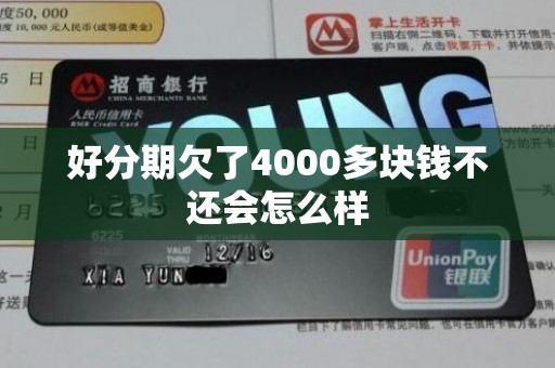 好分期欠了4000多块钱不还会怎么样