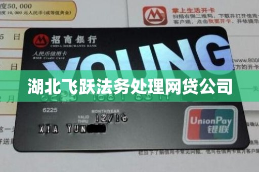 湖北飞跃法务处理网贷公司