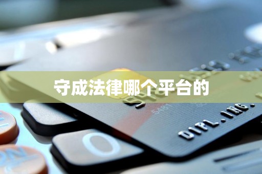 守成法律哪个平台的