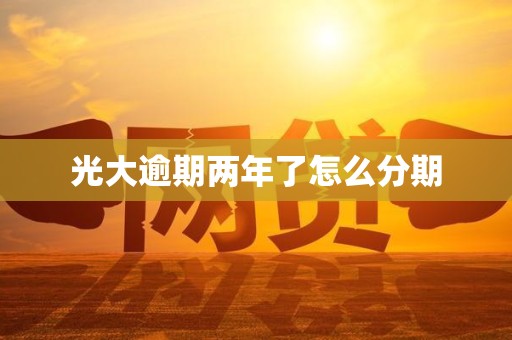 光大逾期两年了怎么分期
