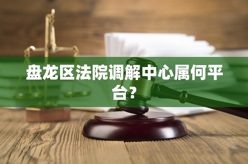 盘龙区法院调解中心属何平台？