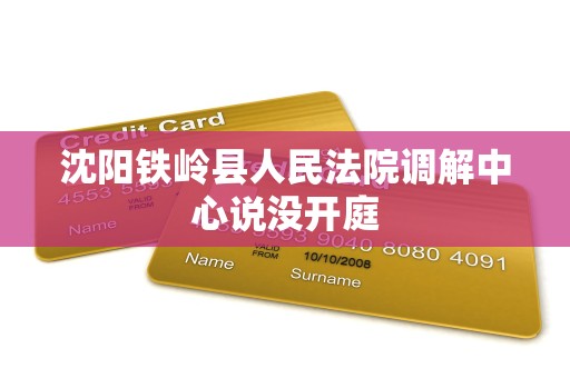 沈阳铁岭县人民法院调解中心说没开庭