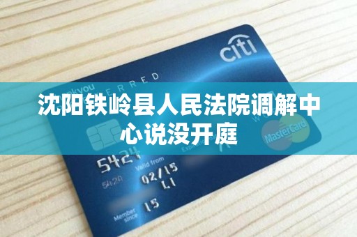沈阳铁岭县人民法院调解中心说没开庭 沈阳铁岭县人民法院调解中心说没开庭
