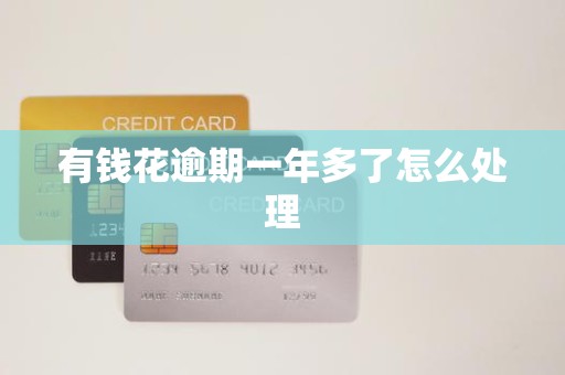 有钱花逾期一年多了怎么处理