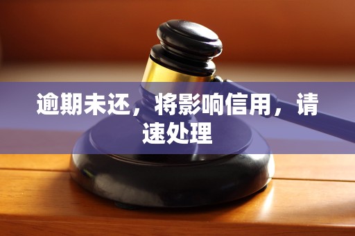逾期未还，将影响信用，请速处理