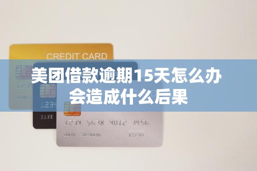 美团借款逾期15天怎么办 会造成什么后果