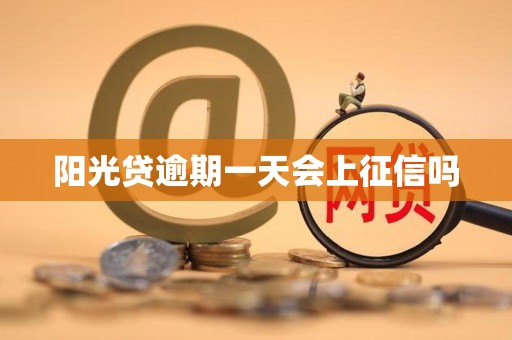 阳光贷逾期一天会上征信吗