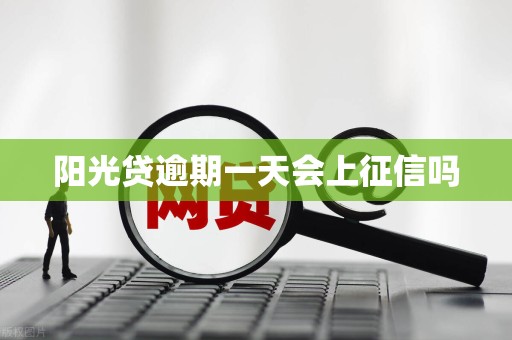 阳光贷逾期一天会上征信吗 阳光贷逾期一天会上征信吗