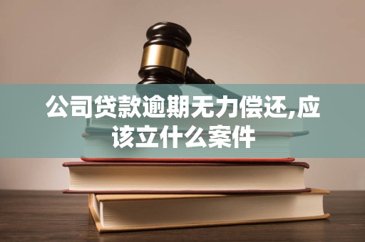 公司贷款逾期无力偿还,应该立什么案件