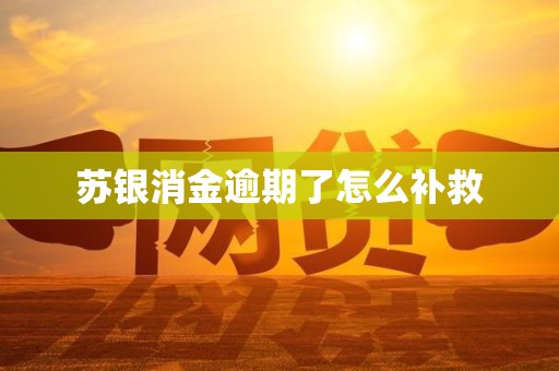 苏银消金逾期了怎么补救 苏银消金逾期了怎么补救