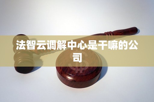 法智云调解中心是干嘛的公司