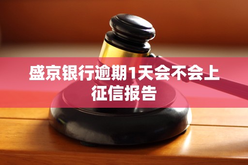 盛京银行逾期1天会不会上征信报告 盛京银行逾期1天会不会上征信报告