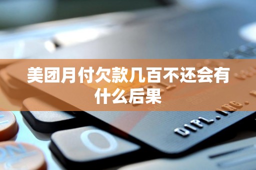 美团月付欠款几百不还会有什么后果 美团月付欠款几百不还会有什么后果