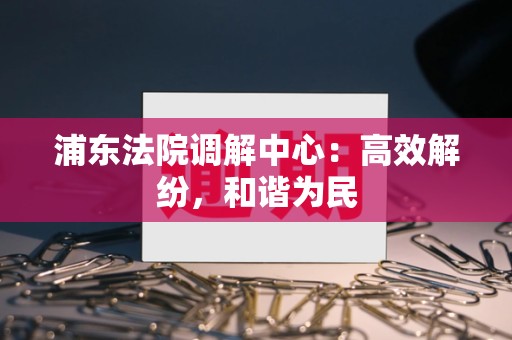 浦东法院调解中心:高效解纷,和谐为民 浦东法院调解中心:高效解纷,和谐为民