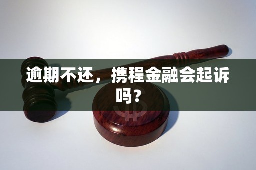 逾期不还,携程金融会起诉吗? 逾期不还,携程金融会起诉吗?
