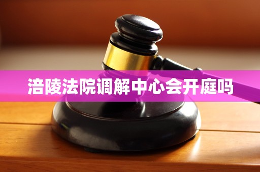 涪陵法院调解中心会开庭吗 涪陵法院调解中心会开庭吗