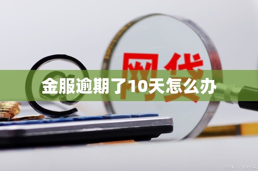 金服逾期了10天怎么办 金服逾期了10天怎么办