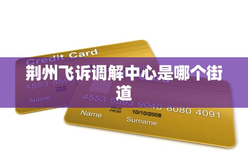 荆州飞诉调解中心是哪个街道