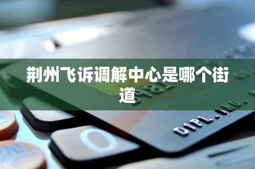 荆州飞诉调解中心是哪个街道