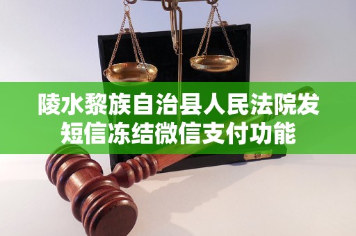 陵水黎族自治县人民法院发短信冻结微信支付功能