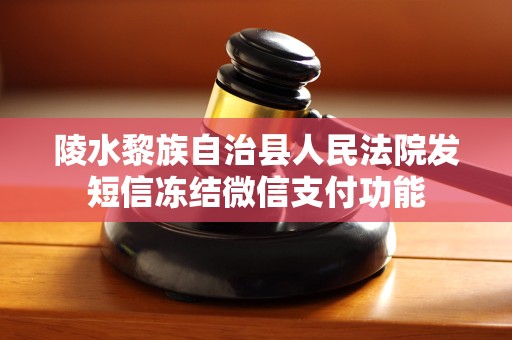 陵水黎族自治县人民法院发短信冻结微信支付功能