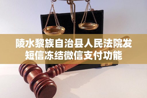 陵水黎族自治县人民法院发短信冻结微信支付功能