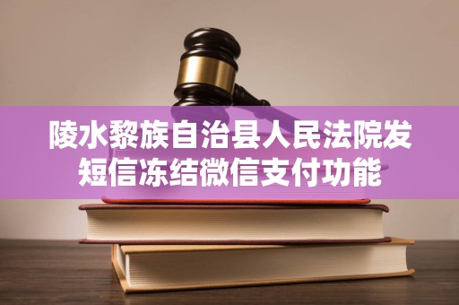 陵水黎族自治县人民法院发短信冻结微信支付功能