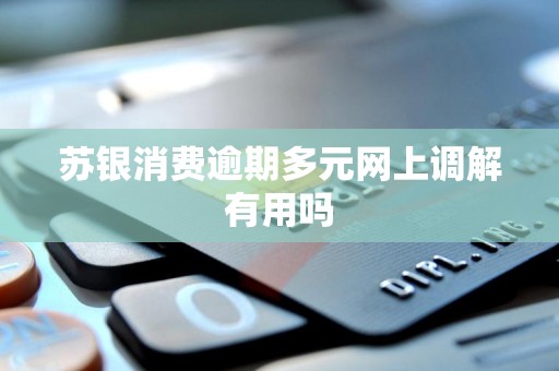 苏银消费逾期多元网上调解有用吗