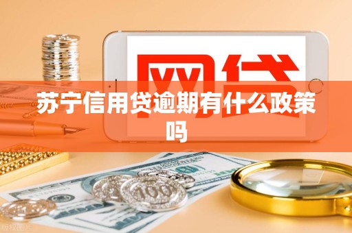 苏宁信用贷逾期有什么政策吗