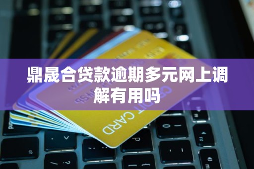 鼎晟合贷款逾期多元网上调解有用吗