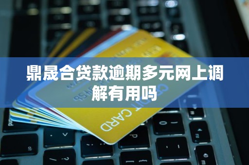 鼎晟合贷款逾期多元网上调解有用吗