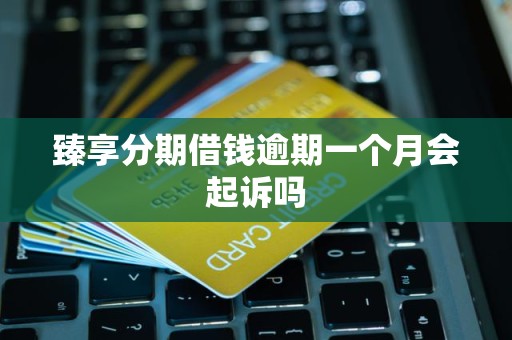 臻享分期借钱逾期一个月会起诉吗