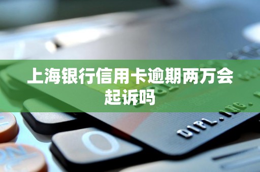 上海银行信用卡逾期两万会起诉吗