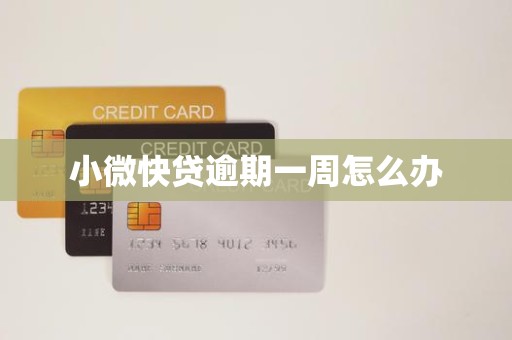 小微快贷逾期一周怎么办