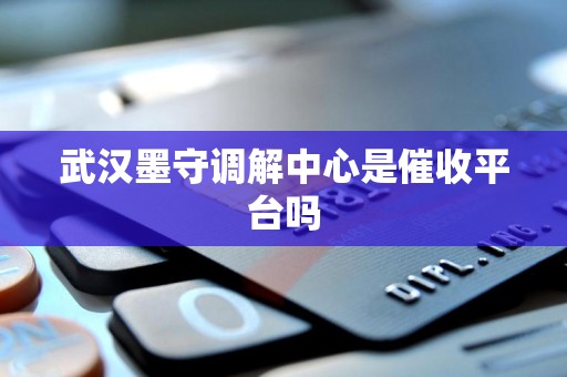 武汉墨守调解中心是催收平台吗