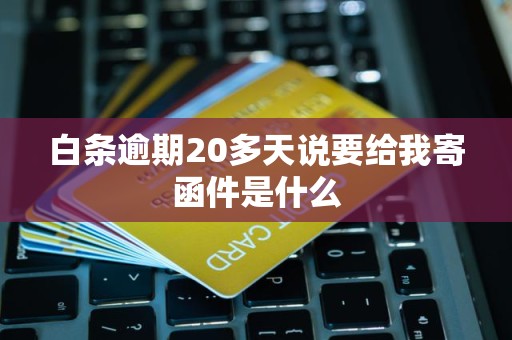 白条逾期20多天说要给我寄函件是什么